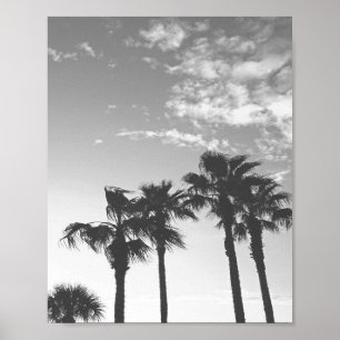 Poster Black and White Sunset Tropical Palm Trees 