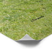 Poster Black Angus (Coin)