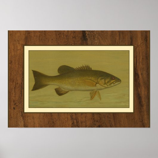 Poster Black Bass sur fond vert (Devant)