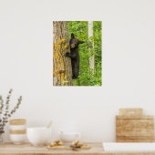 Poster Black Bear Cub | Minnesota (Cuisine)