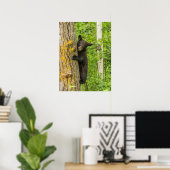Poster Black Bear Cub | Minnesota (Bureau à domicile)