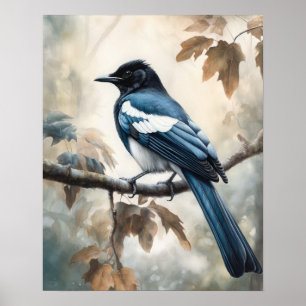 Poster Black Billed Magpie Oiseau Art Imprimer l'affiche