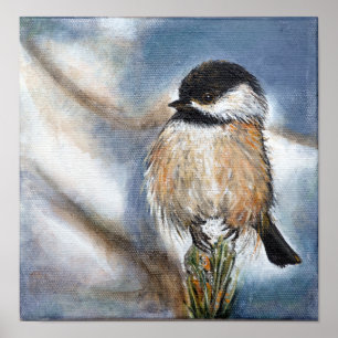 Poster Black Capped Chickadee Art Print