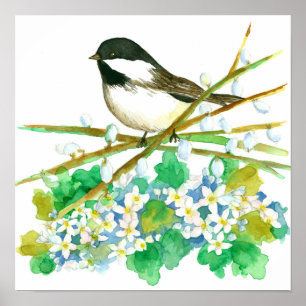 Poster Black Capped Chickadee Bird Watercolor