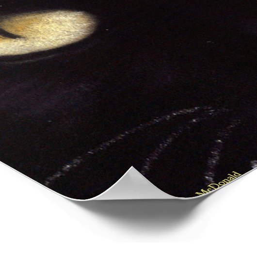 Poster Black Cat Big Eyes (Coin)