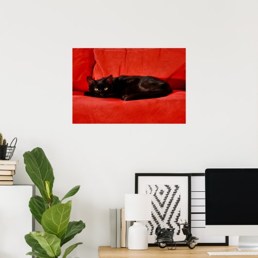 Poster Black Cat Edgar (Bureau à domicile)