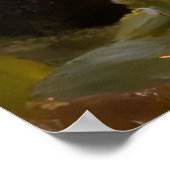 Poster Black Cat in the Flowers I (Coin)