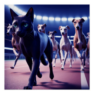 Poster Black Cat Leading Pack De Chiens À La Piste Des Ch