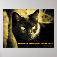 Black Cat Meme avec proverbe irlandais