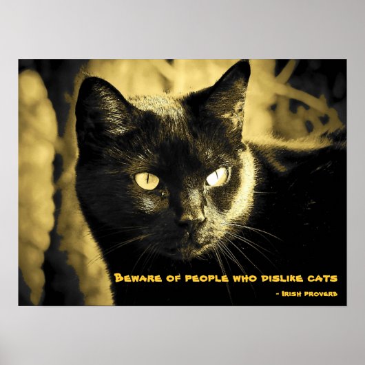 Poster Black Cat Meme avec proverbe irlandais (Devant)