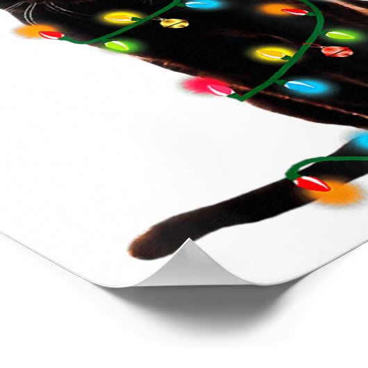 Poster Black Cat Santa Tangled Up In Christmas Lights _1 (Coin)