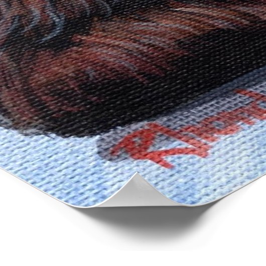 Poster Black Cocker Portrait de chien espagnol (Coin)