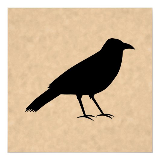 Poster Black Crow Bird sur un Motif de parchemin. (Devant)