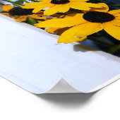 Poster Black Eyed Susan (Coin)
