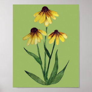 Poster Black Eyed Susan Aquarelle Daisy Art marguerites m