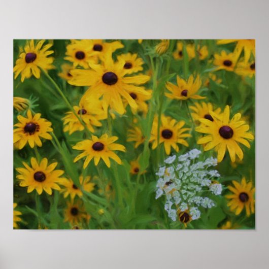 Poster Black Eyed Susan Daisy (Devant)