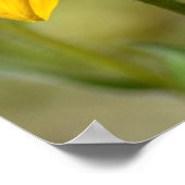 Poster Black Eyed Susan Flower Jaune Citation Rumi (Coin)