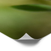 Poster Black Eyed Susan Flower Photographie (Coin)