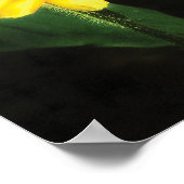 Poster Black Eyed Susan True Love Art (Coin)