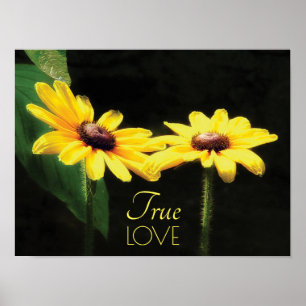 Poster Black Eyed Susan True Love Art