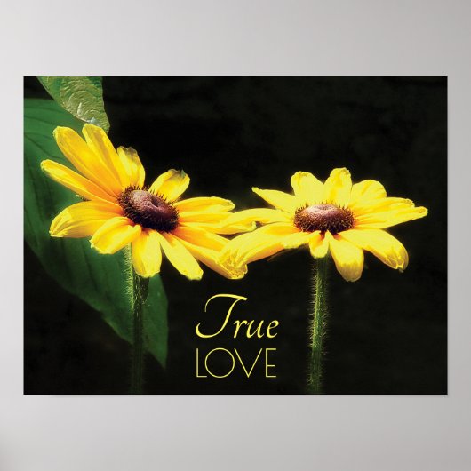 Poster Black Eyed Susan True Love Art (Devant)