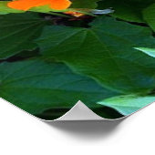 Poster Black Eyes Susan (Coin)