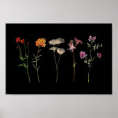Poster Black Fleur sauvage Lesbian Pride Mur Art (Devant)