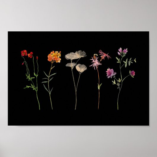 Poster Black Fleur sauvage Lesbian Pride Mur Art (Devant)