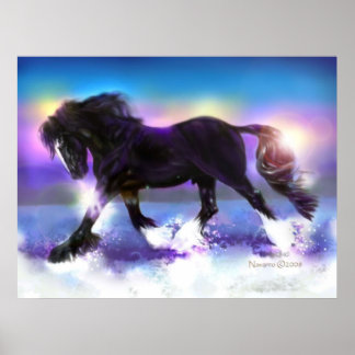 Poster Black Foot Shire