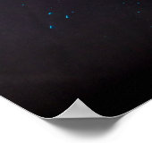 Poster Black Friday Sale (Coin)
