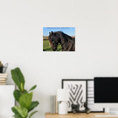 Poster Black Friesian Horse célèbre cheval citation (Bureau à domicile)