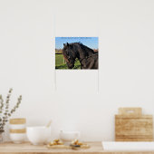 Poster Black Friesian Horse célèbre cheval citation (Cuisine)