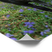 Poster Black Friesian Mare et Foie dans Bluebells (Coin)