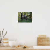 Poster Black Friesian Mare et Foie dans Bluebells (Cuisine)