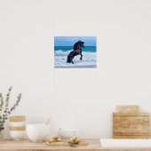 Poster Black Friesian Stallion Rearing In the Sea (Cuisine)