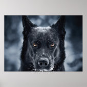 Poster Black German Shepherd (Devant)