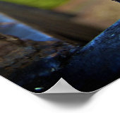 Poster Black & Gold (Fleur de Lis) [Imprimer l'art] (Coin)