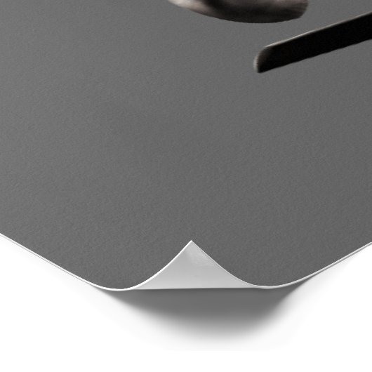 Poster Black Hawk (Coin)