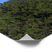 Poster Black Hills Panoramic 53 (Coin)