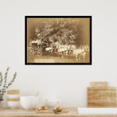 Poster Black Hills, Treasure Coach SD 1887 (Cuisine)