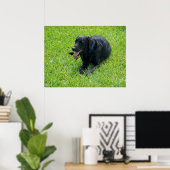 Poster Black Lab— Faire une pause (Bureau à domicile)