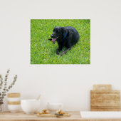 Poster Black Lab— Faire une pause (Cuisine)