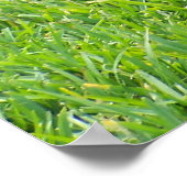 Poster Black Lab— Faire une pause (Coin)