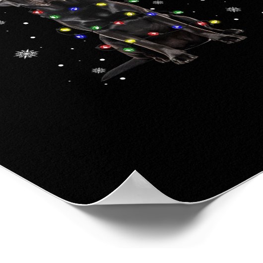 Poster black lab labrador chien lumières de Noël xmas pèr (Coin)