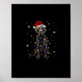 Poster black lab labrador chien lumières de Noël xmas pèr (Devant)