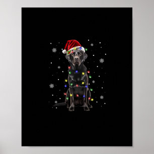 Poster black lab labrador chien lumières de Noël xmas pèr