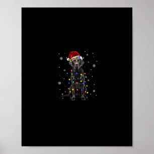 Poster black lab labrador chien lumières de Noël xmas pèr