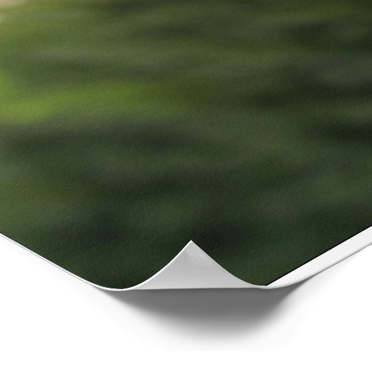 Poster Black Labrador (Coin)