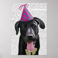 Black Labrador Avec Casquette de fête