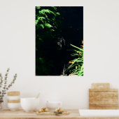 Poster Black Labrador cachette. (Cuisine)